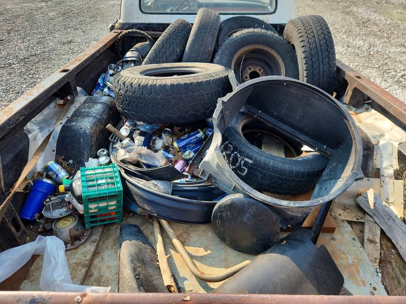 Photo 10 from auction – 1965 FORD F100 with VIN F10DK663027