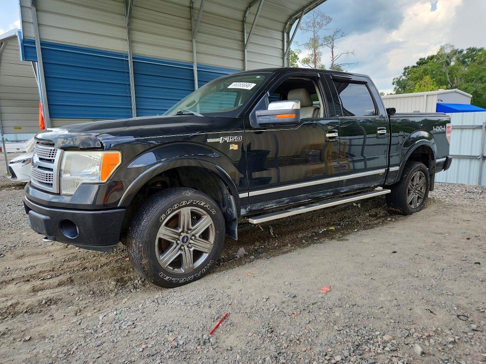 FORD F150 2010 with VIN 1FTFW1EV6AFA29732 - Photo from auction