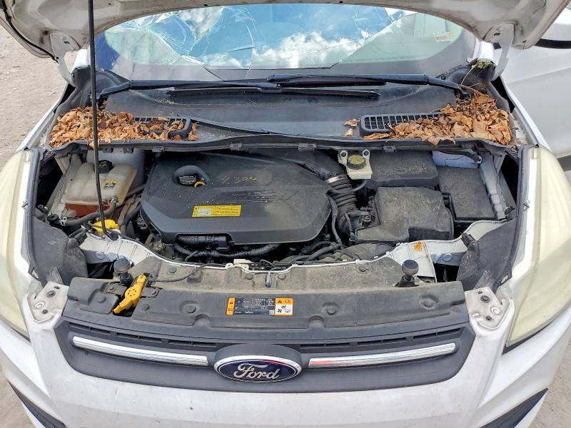 Photo 12 from auction – 2013 FORD ESCAPE with VIN 1FMCU0GX1DUC41418