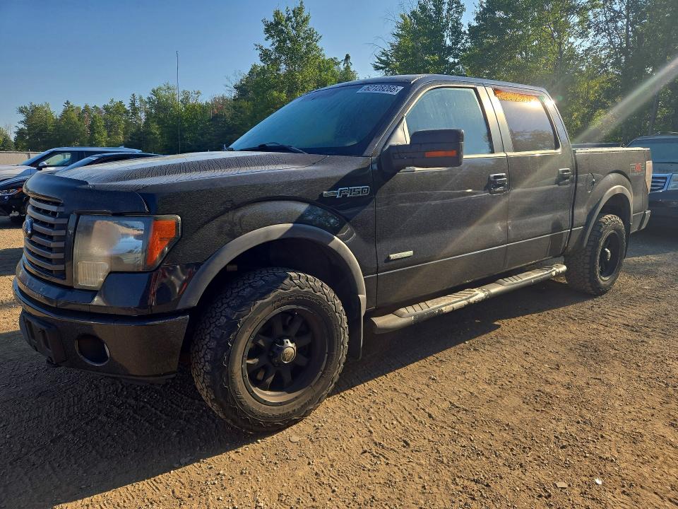 FORD F150 2011 with VIN 1FTFW1ETXBFA89058 - Photo from auction