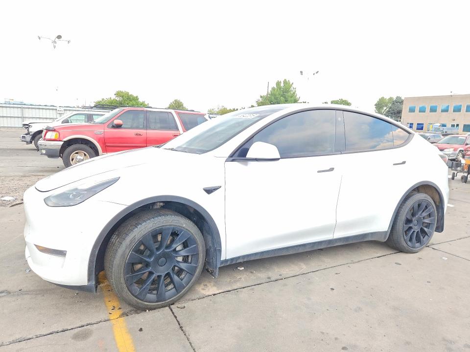TESLA MODEL Y 2023 with VIN 7SAYGDEE0PF695282 - Photo from auction