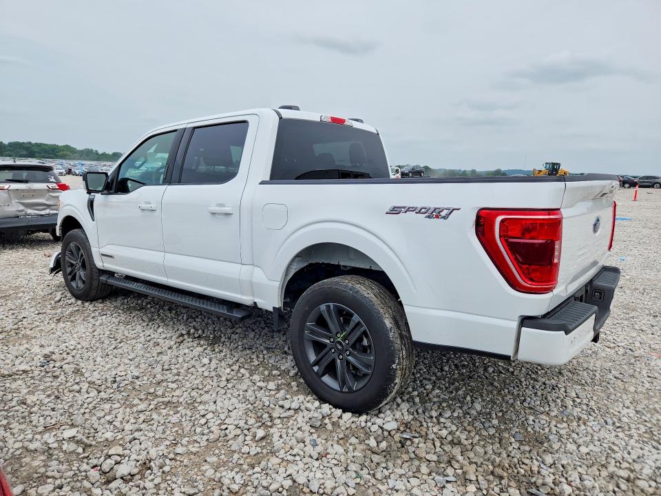 Photo 2 from auction – 2023 FORD F150 with VIN 1FTFW1ED0PFD09341