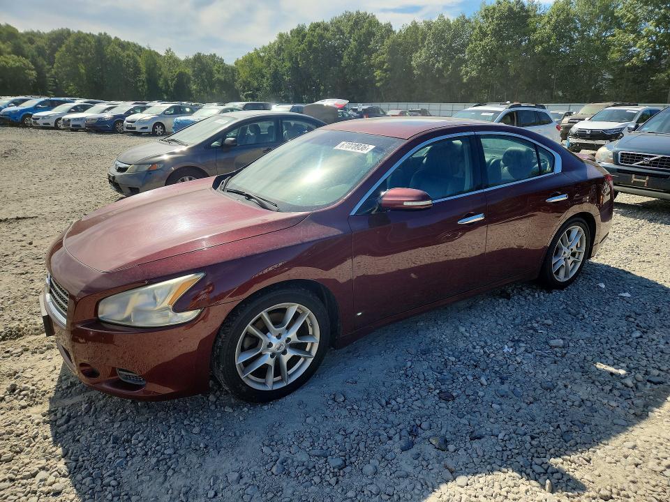 NISSAN MAXIMA 2010 مع رقم تعريف المركبة 1N4AA5AP0AC813080 - صورة من المزاد