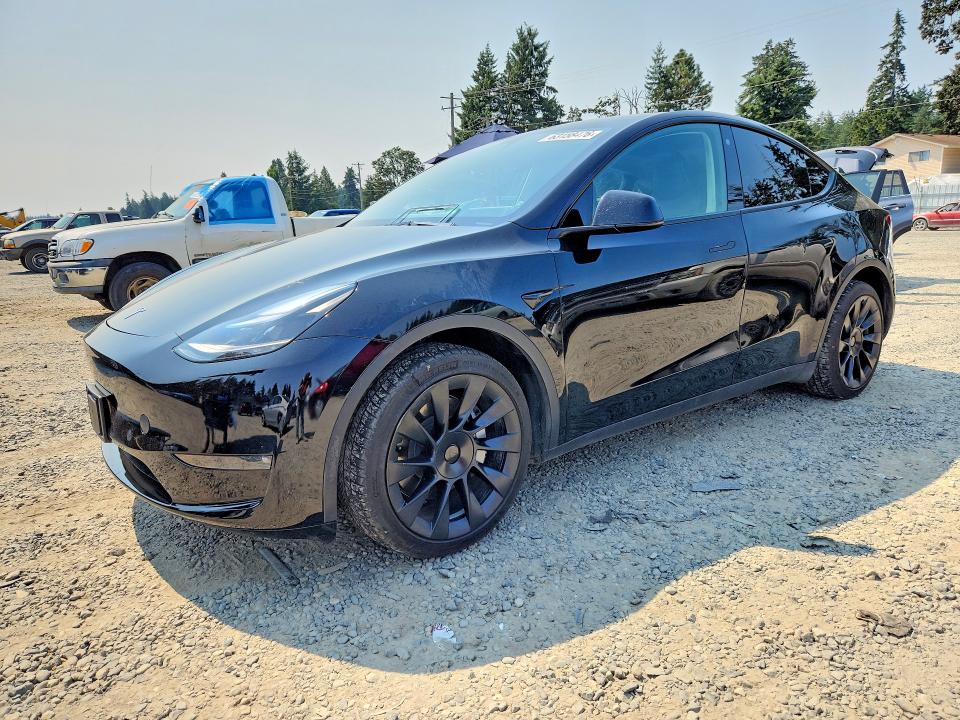 TESLA MODEL Y 2023 with VIN 7SAYGDEEXPF753673 - Photo from auction