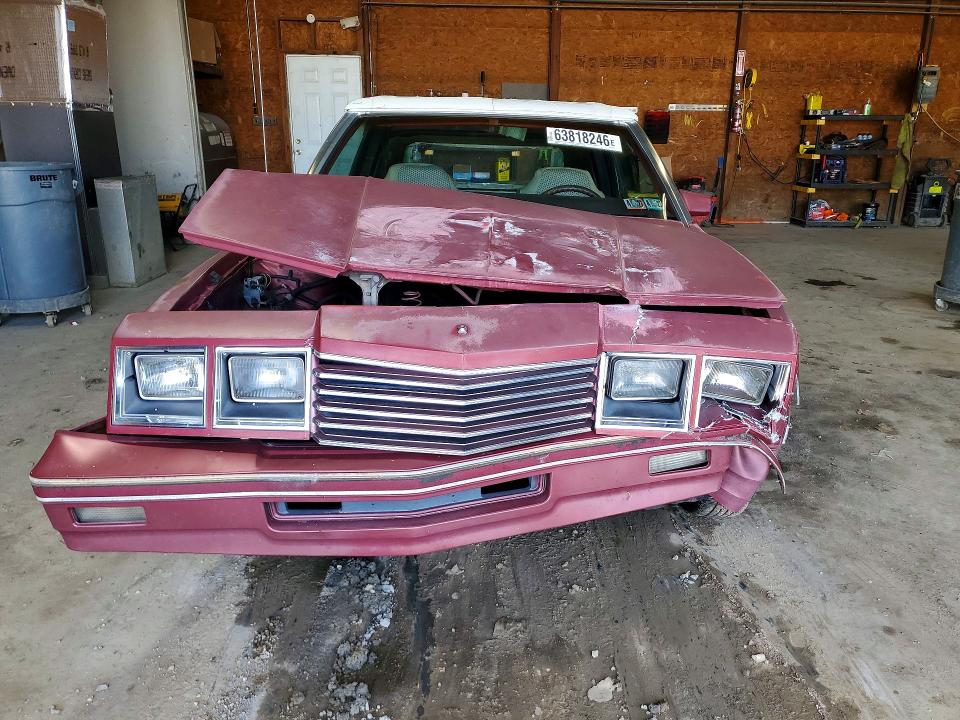 Photo 5 from auction – 1984 DODGE 600 with VIN 1B3BV55D3EG289247