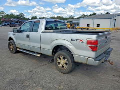 Photo 2 from auction – 2010 FORD F150 with VIN 1FTEX1E89AFC68775