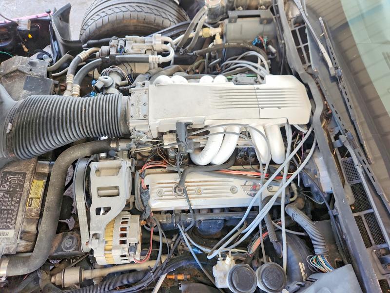 Photo 11 from auction – 1990 CHEVROLET CORVETTE with VIN 1G1YY3384L5108491
