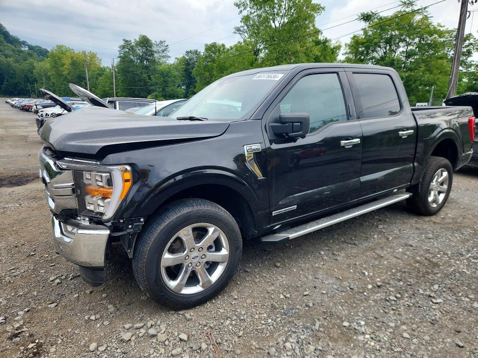 2023 FORD F150 - Търг №66175636