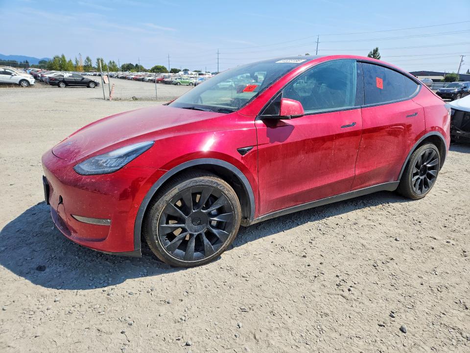 2021 TESLA MODEL Y - Търг №64623186