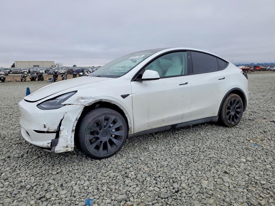 TESLA MODEL Y 2023 with VIN 7SAYGAEE3PF900639 - Photo from auction
