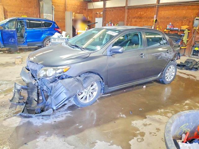 TOYOTA COROLLA 2010 with VIN 2T1BU4EE4AC248249 - Photo from auction