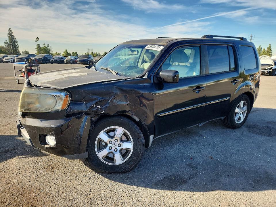 HONDA PILOT 2009 with VIN 5FNYF38579B019677 - Photo from auction