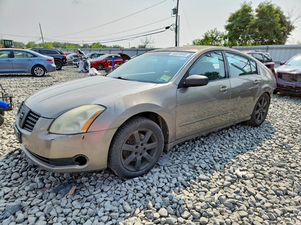 NISSAN MAXIMA 2004 with VIN 1N4BA41E74C833893 - Photo from auction