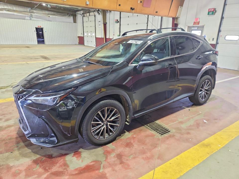 2024 LEXUS NX 250 - Търг №65842746