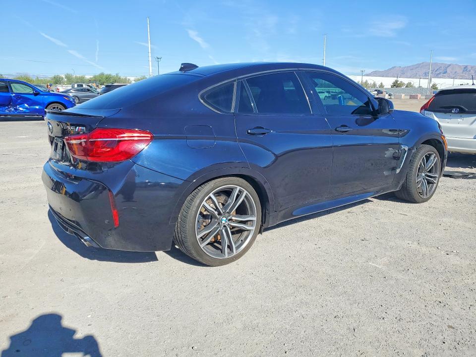 Photo 3 from auction – 2017 BMW X6 with VIN 5YMKW8C3XH0U72379
