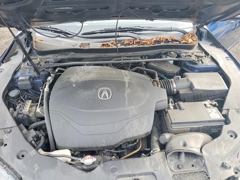 Photo 11 from auction – 2015 ACURA TLX with VIN 19UUB2F53FA007331