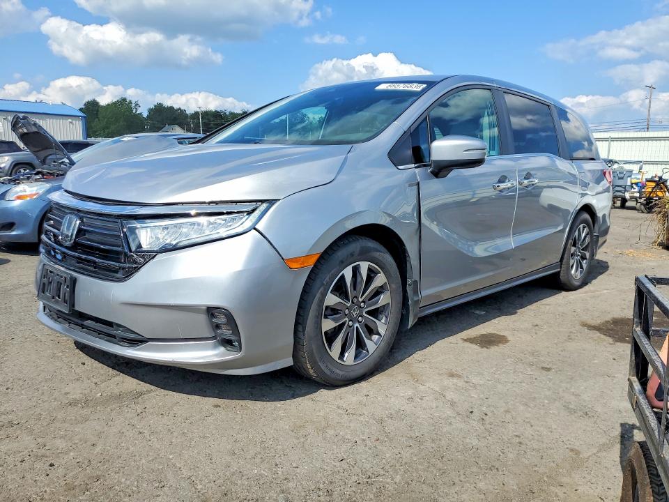 HONDA ODYSSEY EX 2024 with VIN 5FNRL6H66RB016101 - Photo from auction