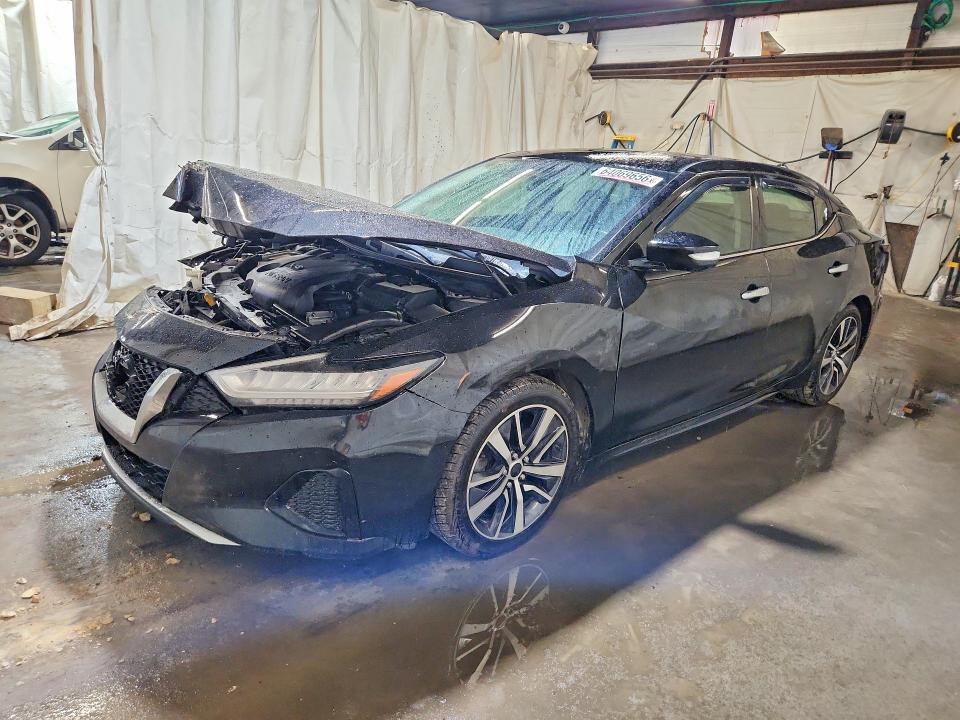 Photo 1 from auction – 2019 NISSAN MAXIMA with VIN 1N4AA6AV6KC375784