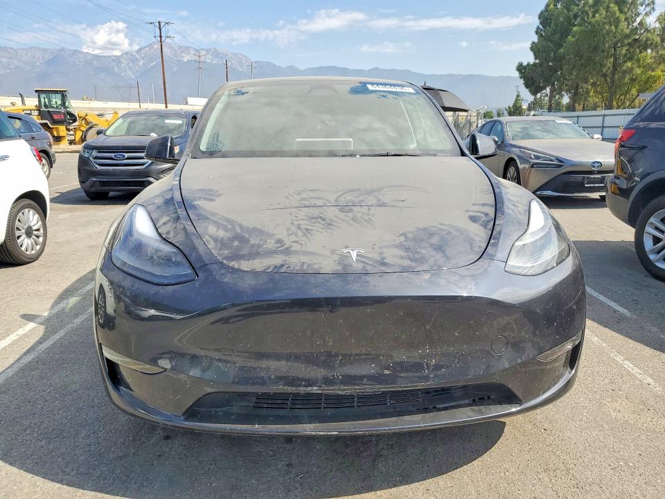 Photo 5 from auction – 2025 TESLA MODEL Y with VIN 7SAYGDEE1SF281758