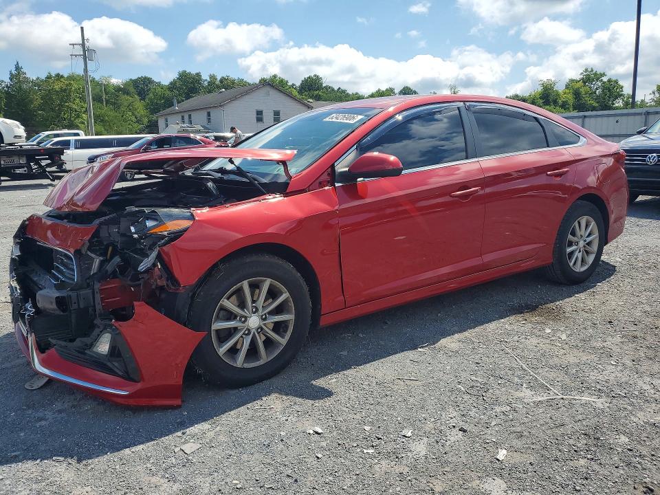 HYUNDAI SONATA 2019 with VIN 5NPE24AF1KH770935 - Photo from auction