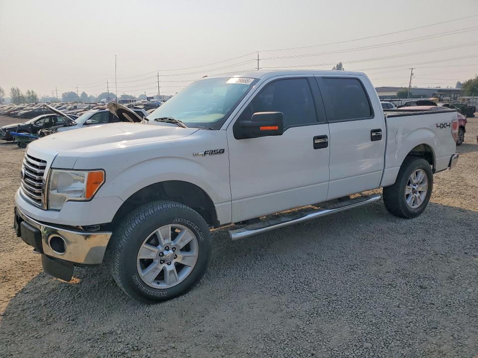 FORD F150 2011 with VIN 1FTFW1EF3BFB58246 - Photo from auction