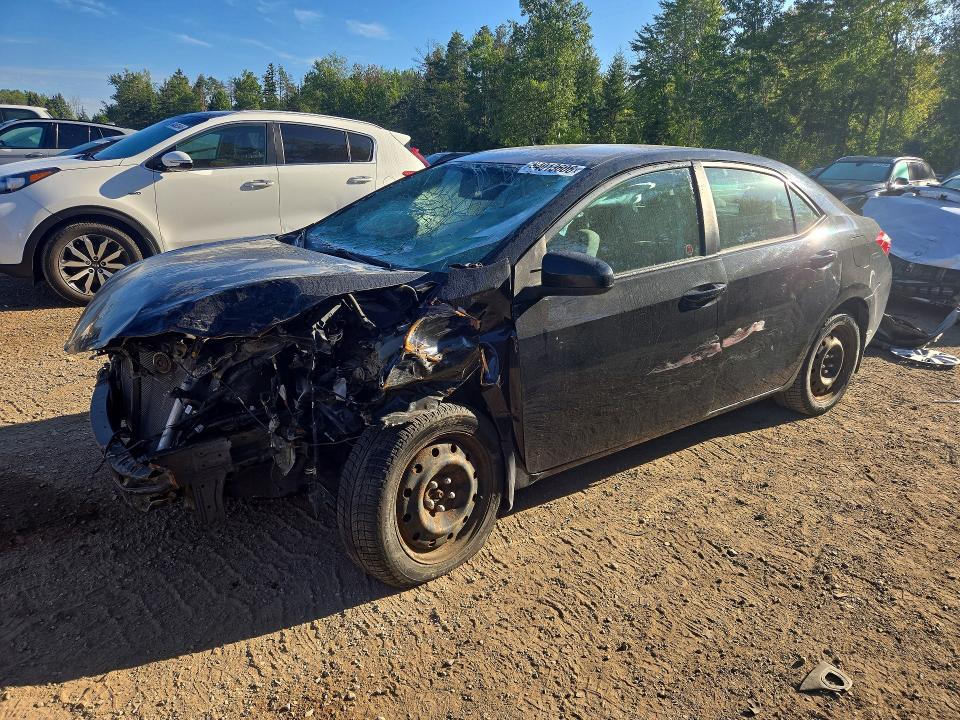 TOYOTA COROLLA 2015 with VIN 2T1BURHE1FC391319 - Photo from auction