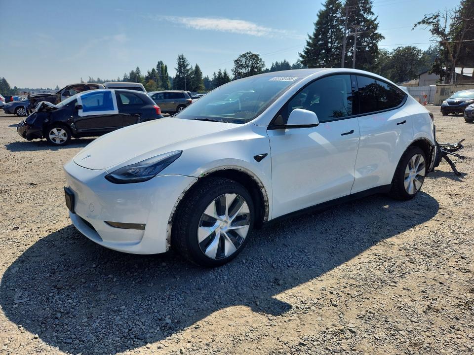 TESLA MODEL Y 2023 with VIN 7SAYGAEE2PF596753 - Photo from auction