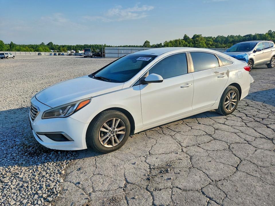 HYUNDAI SONATA 2016 with VIN 5NPE24AF5GH377219 - Photo from auction
