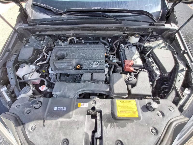 Photo 12 from auction – 2025 LEXUS NX with VIN 2T2GDCAZ1SC025432