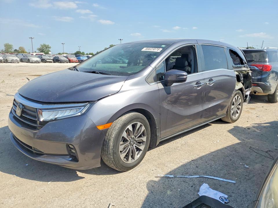 HONDA ODYSSEY 2022 with VIN 5FNRL6H78NB043061 - Photo from auction