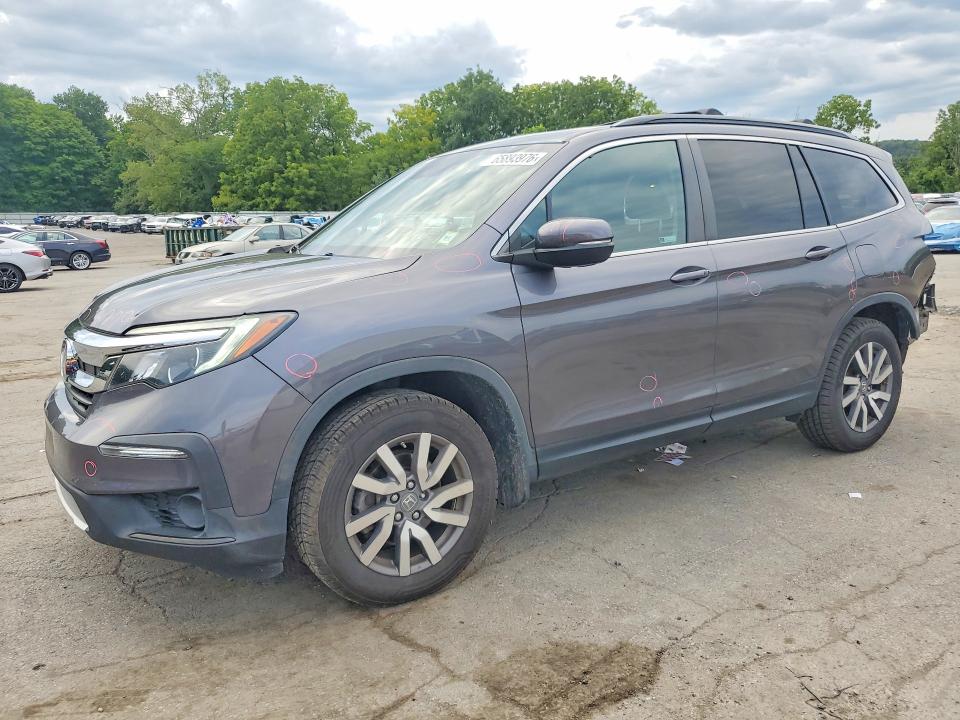 HONDA PILOT 2019 with VIN 5FNYF6H55KB069291 - Photo from auction