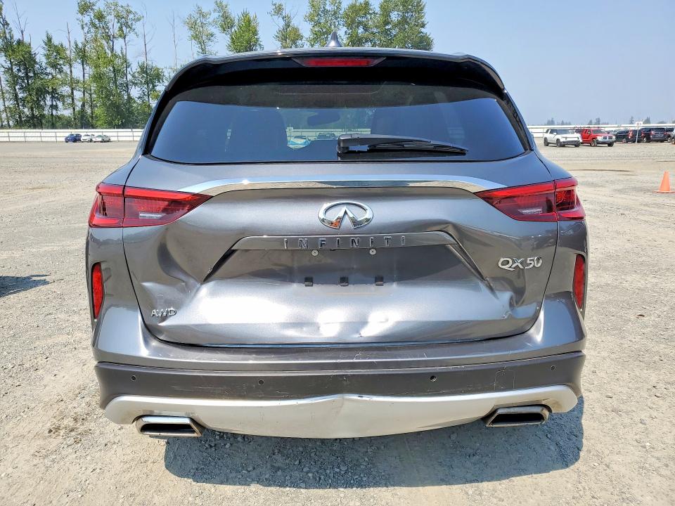 Photo 6 from auction – 2019 INFINITI QX50 with VIN 3PCAJ5M37KF117744