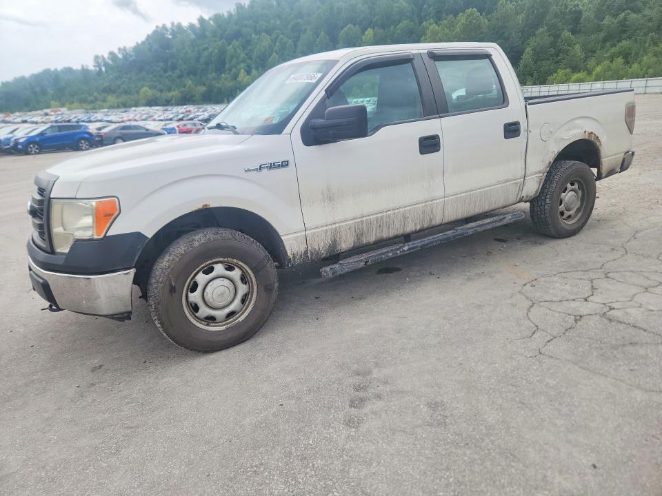 FORD F150 2013 with VIN 1FTFW1EF3DFC86599 - Photo from auction