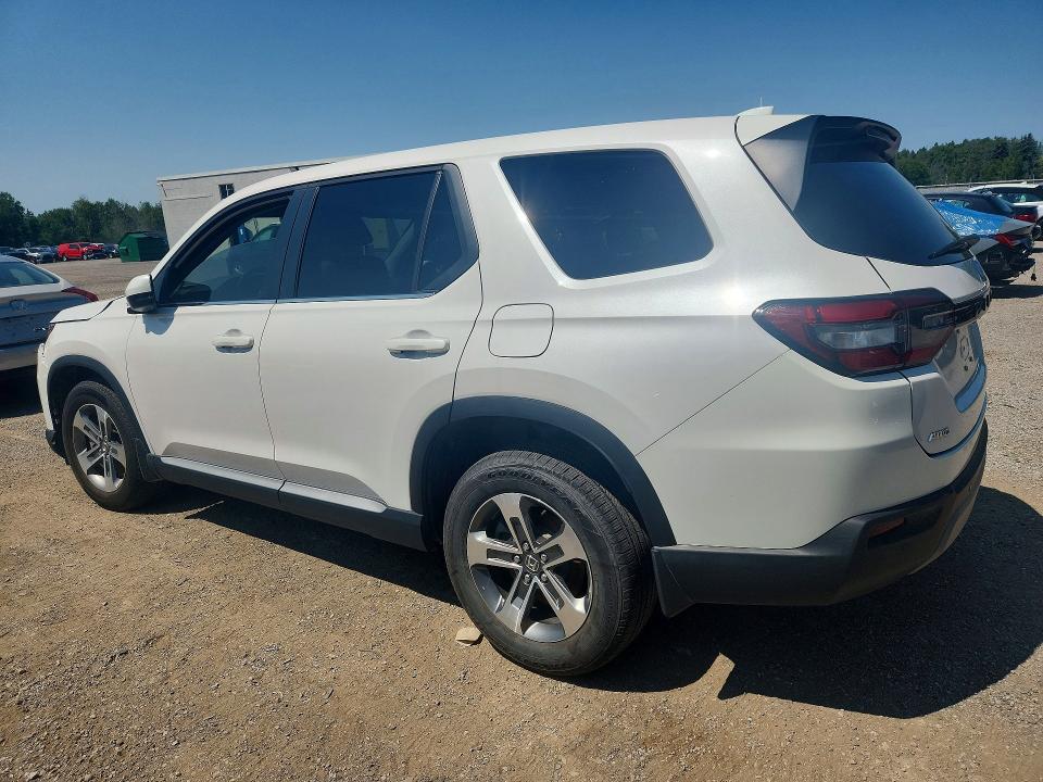 Photo 2 from auction – 2024 HONDA PILOT with VIN 5FNYG1H46RB501940