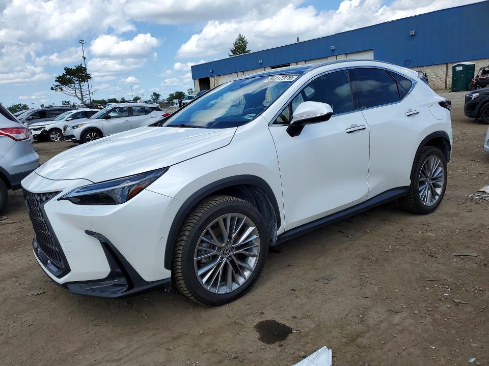 2024 LEXUS NX 350H - Търг №65217976