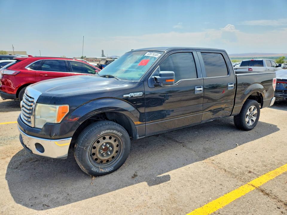FORD F150 2010 with VIN 1FTEW1C89AFA08253 - Photo from auction