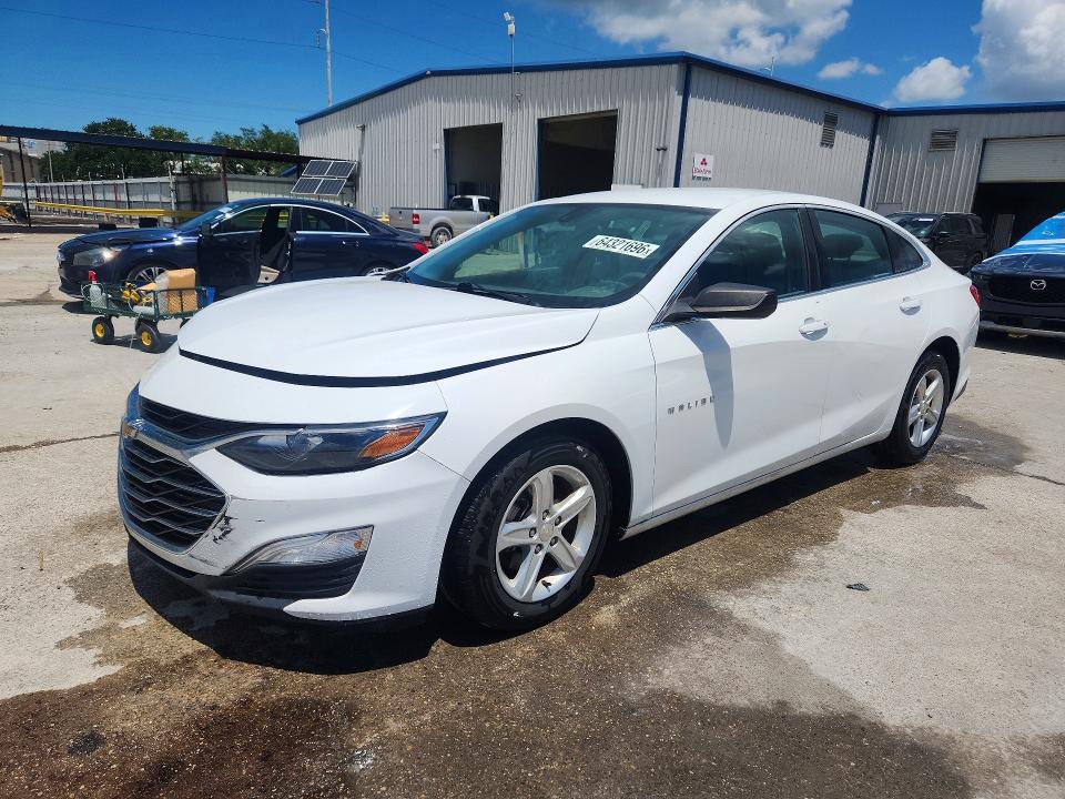 CHEVROLET MALIBU 2019 with VIN 1G1ZB5ST6KF227210 - Photo from auction