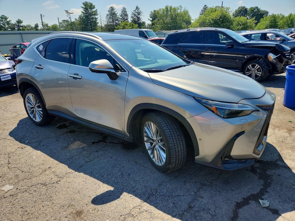 Photo 4 from auction – 2025 LEXUS NX with VIN 2T2HGCEZXSC061092