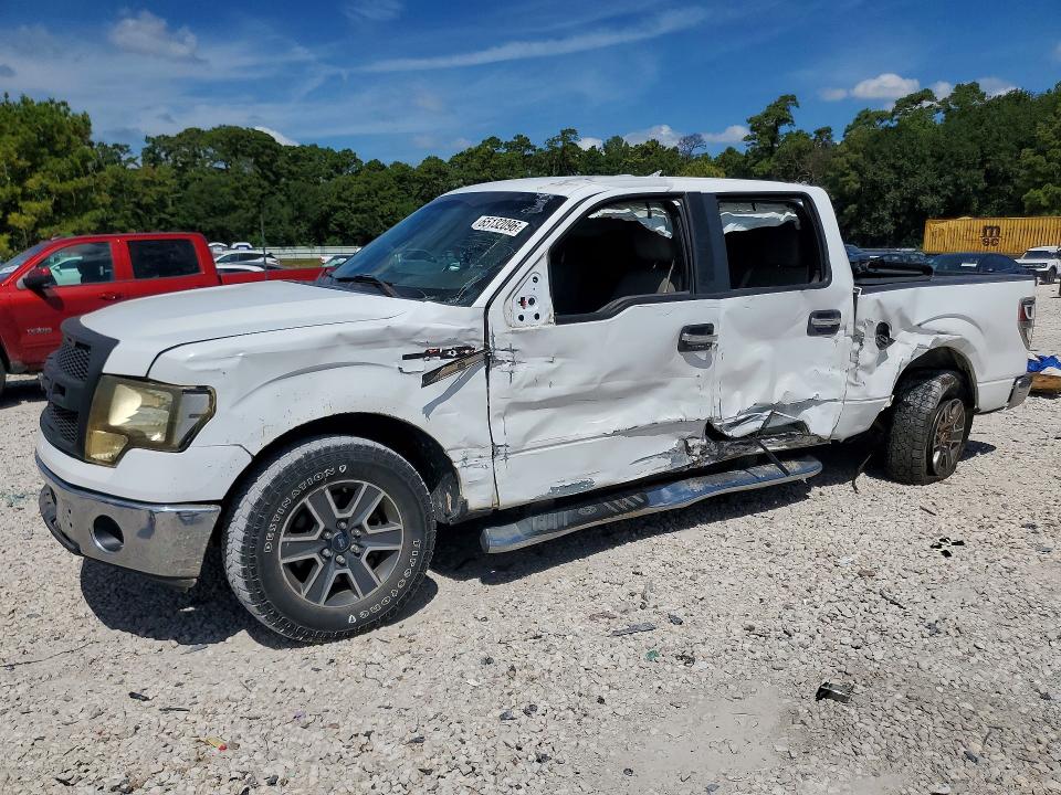 FORD F150 2010 with VIN 1FTEW1C84AKE58223 - Photo from auction