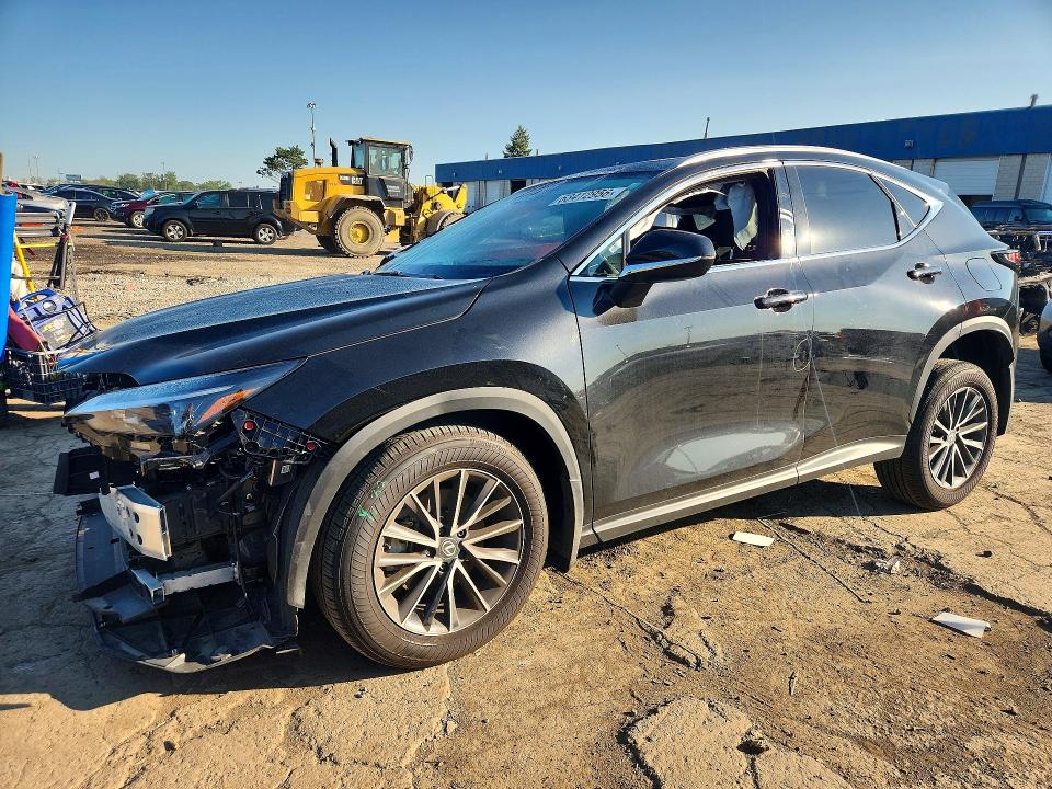LEXUS NX 350 2024 with VIN 2T2AGCEZ4RC032781 - Photo from auction