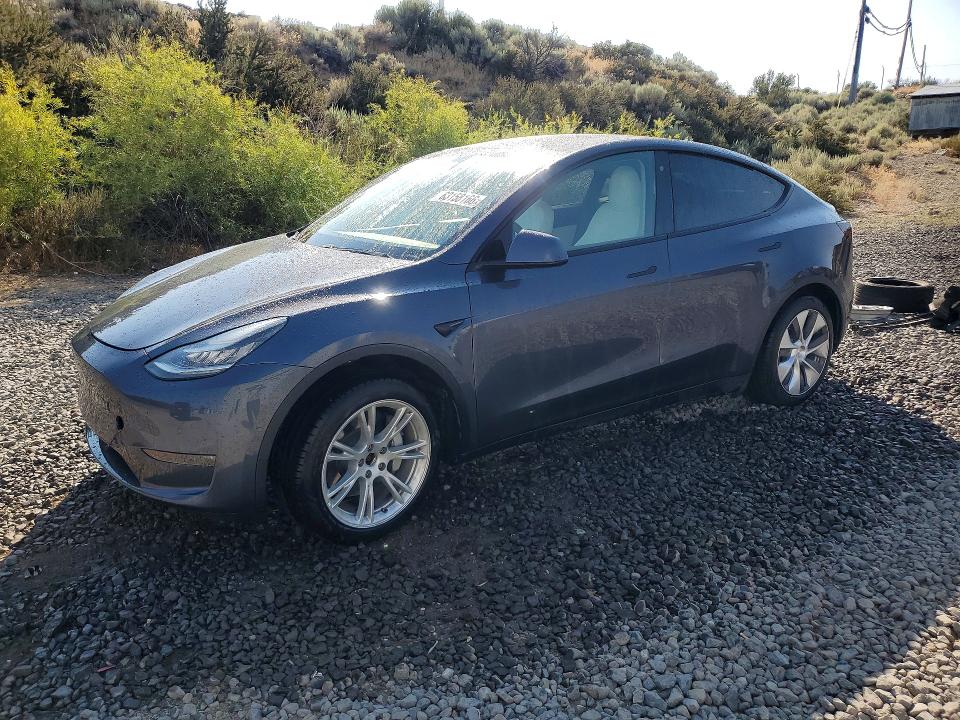 TESLA MODEL Y 2020 with VIN 5YJYGDEE7LF040396 - Photo from auction
