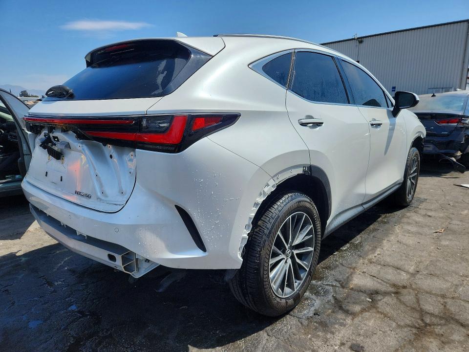 Photo 3 from auction – 2025 LEXUS NX 250 with VIN JTJADCAZ6S2017798