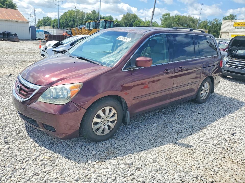 HONDA ODYSSEY 2008 with VIN 5FNRL38798B069719 - Photo from auction