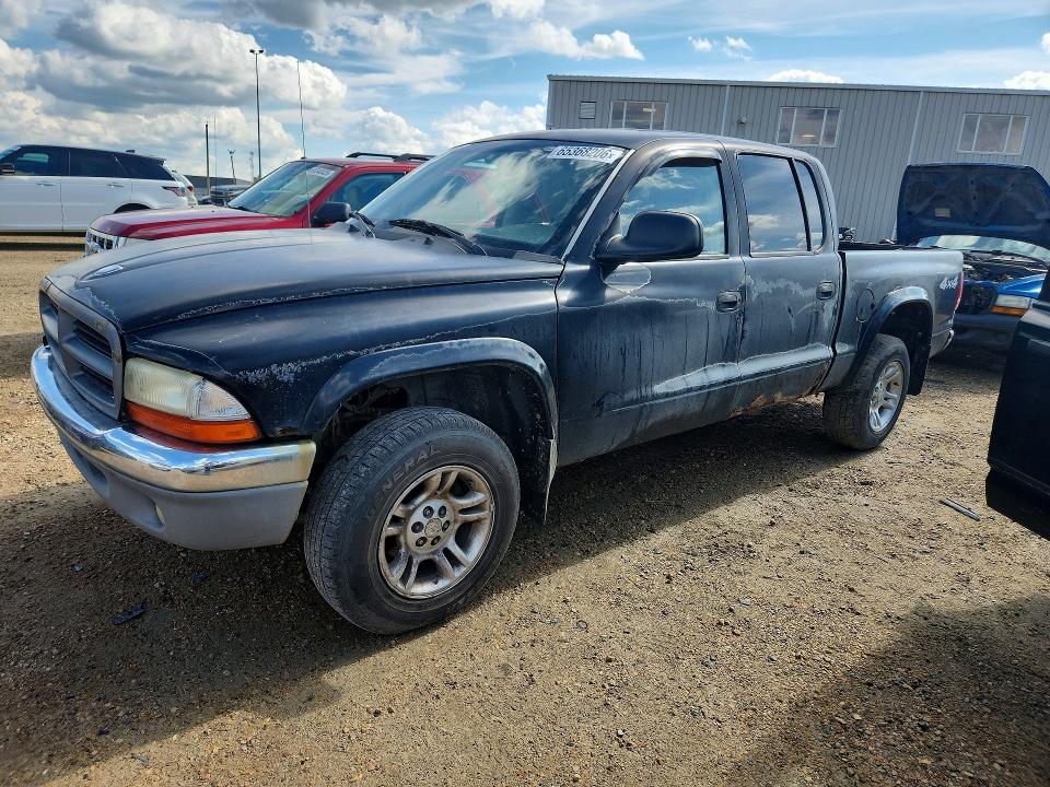 DODGE DAKOTA 2003 with VIN 1D7HG48N53S138721 - Photo from auction