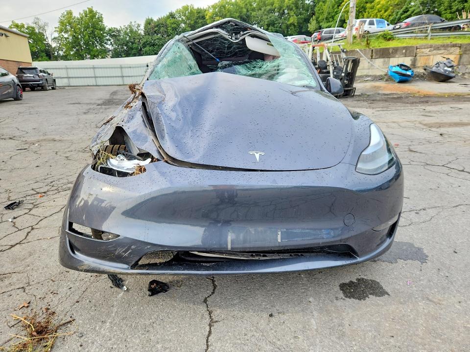Снимка 5 от търг – 2023 TESLA MODEL Y с VIN 7SAYGDEE8PF895052