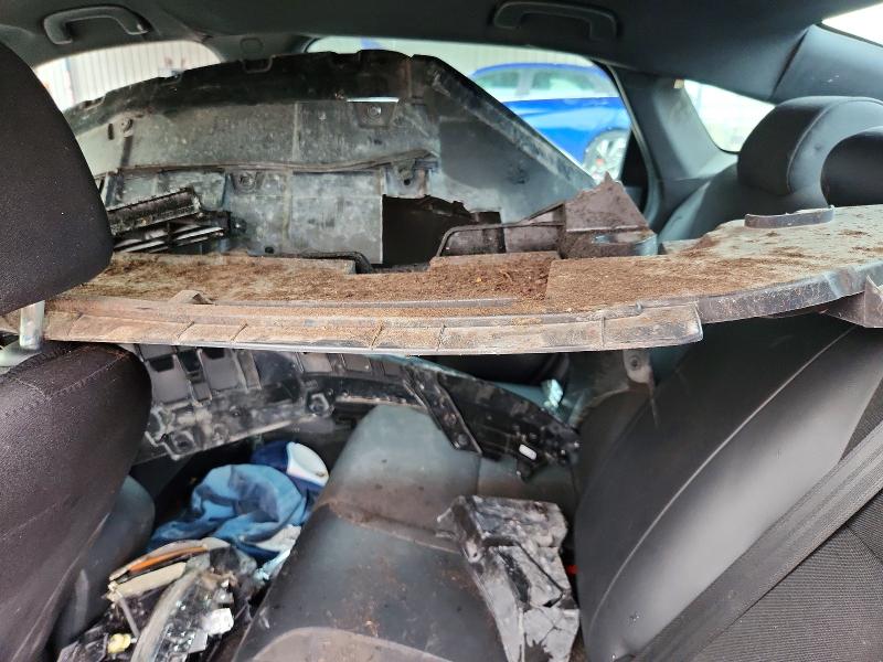 Zdjęcie 12 z aukcji – 2024 HONDA CIVIC z VIN 2HGFE2F55RH593102