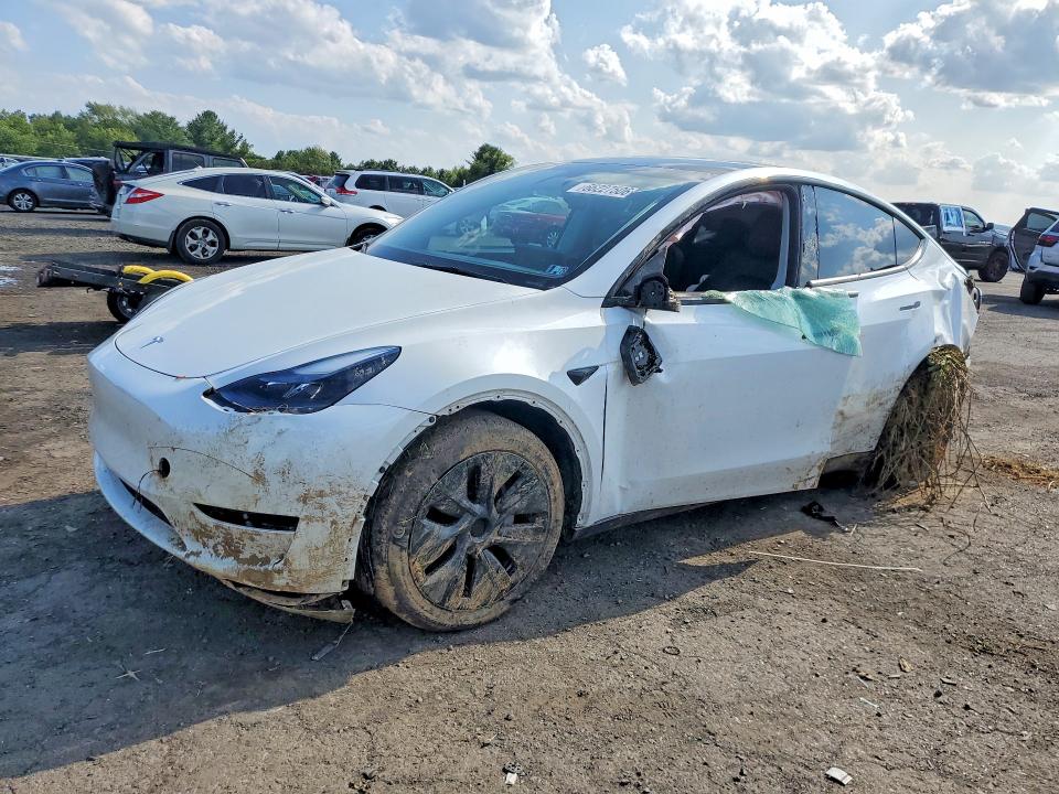 TESLA MODEL Y 2024 مع رقم تعريف المركبة 7SAYGDEDXRF104739 - صورة من المزاد