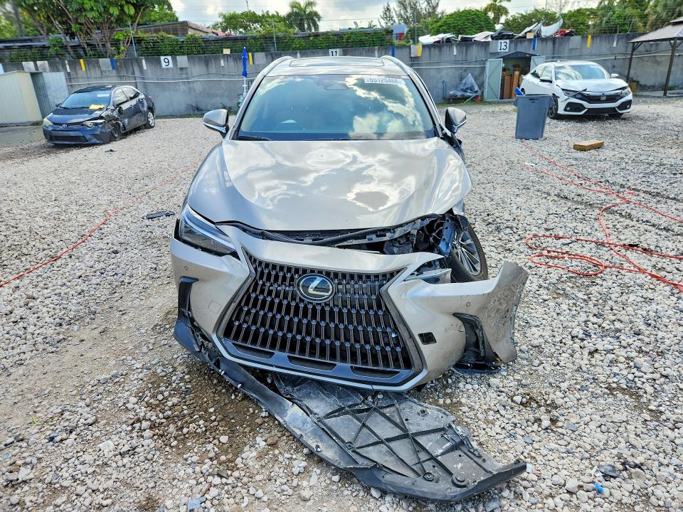 Photo 5 from auction – 2025 LEXUS NX with VIN 2T2GDCAZ5SC025644