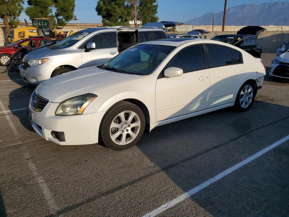 NISSAN MAXIMA 2007 with VIN 1N4BA41E67C850799 - Photo from auction