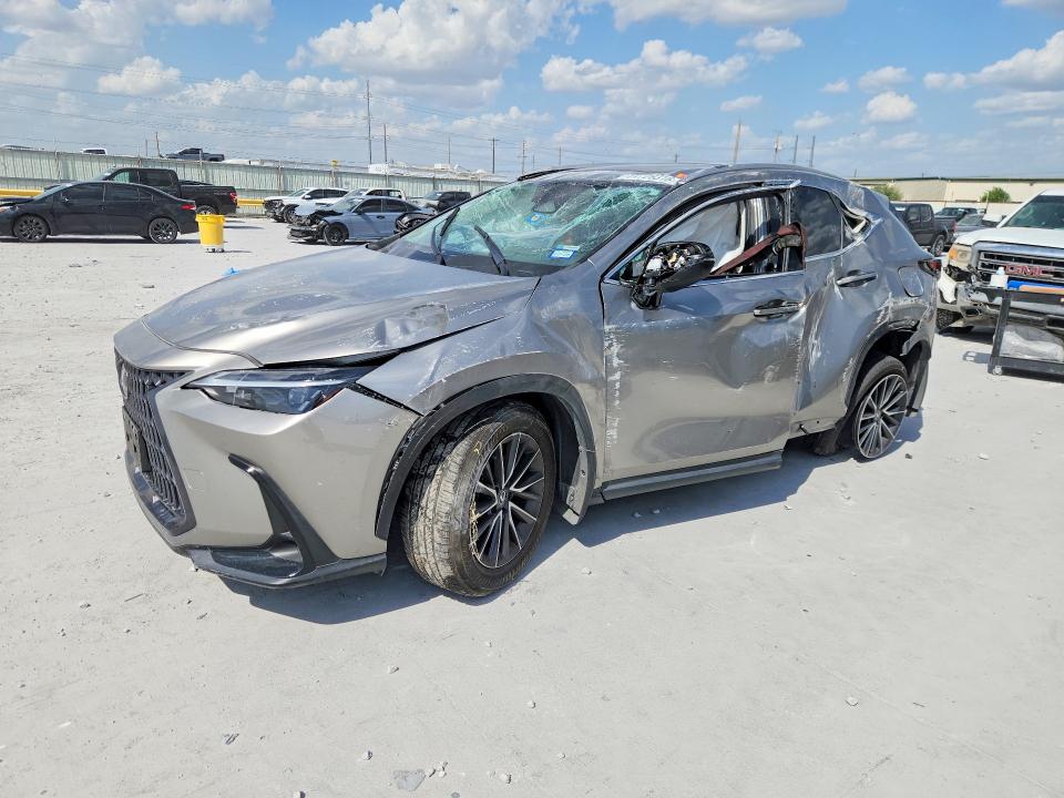 2024 LEXUS NX 250
